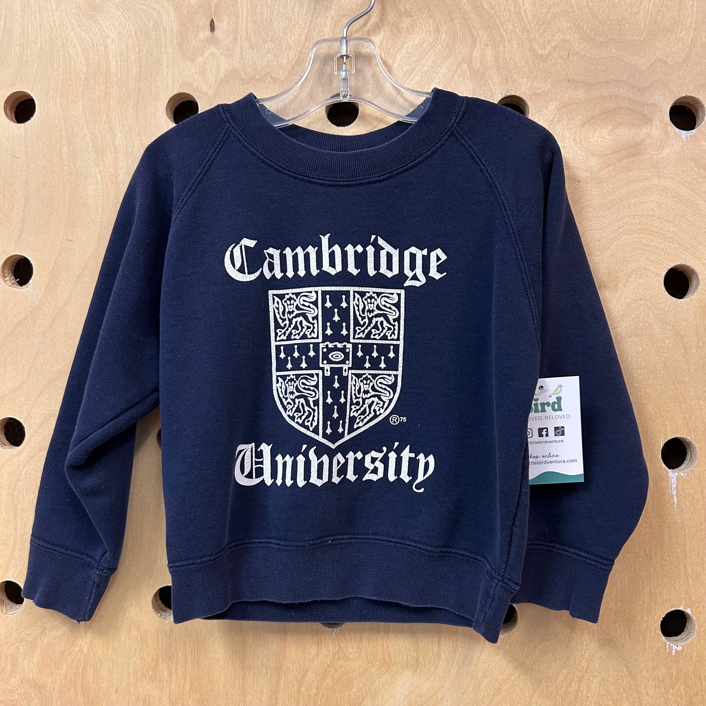 Blue Cambridge University Sweatshirt