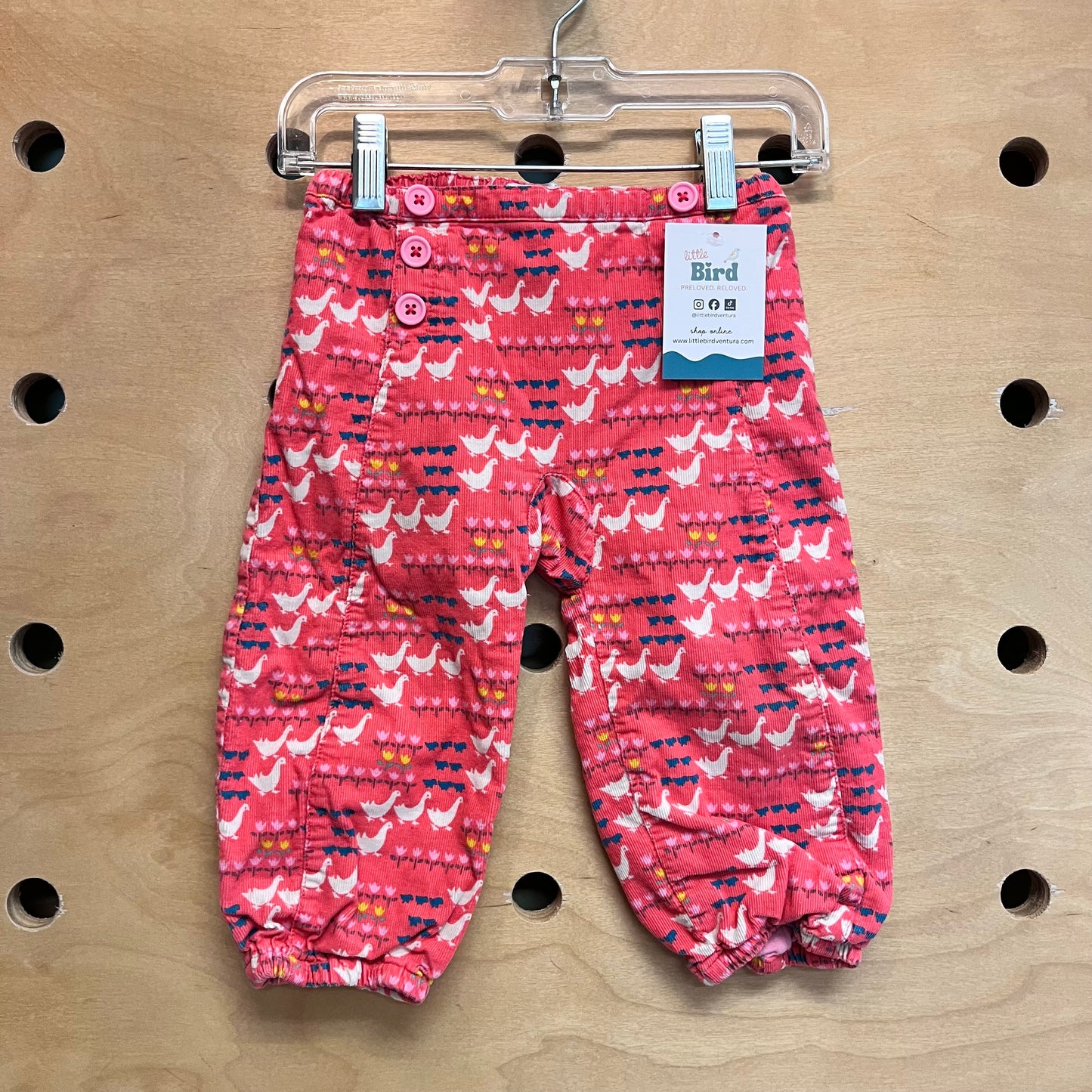Jersey-Lined Coral Birds Cord Joggers