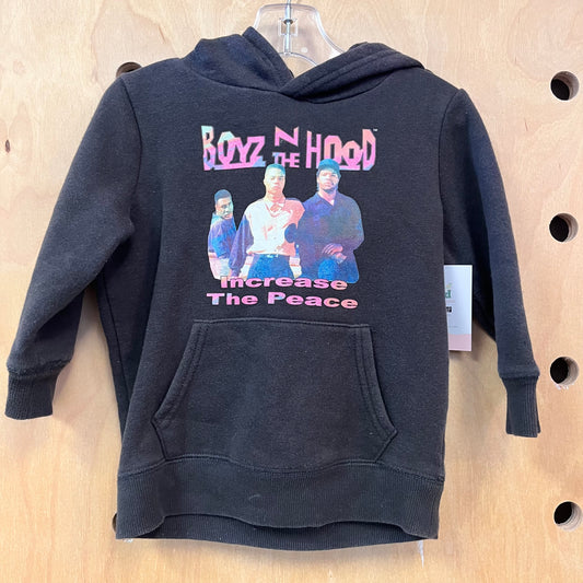 Grey Boys in the Hood Hoodie Pullover