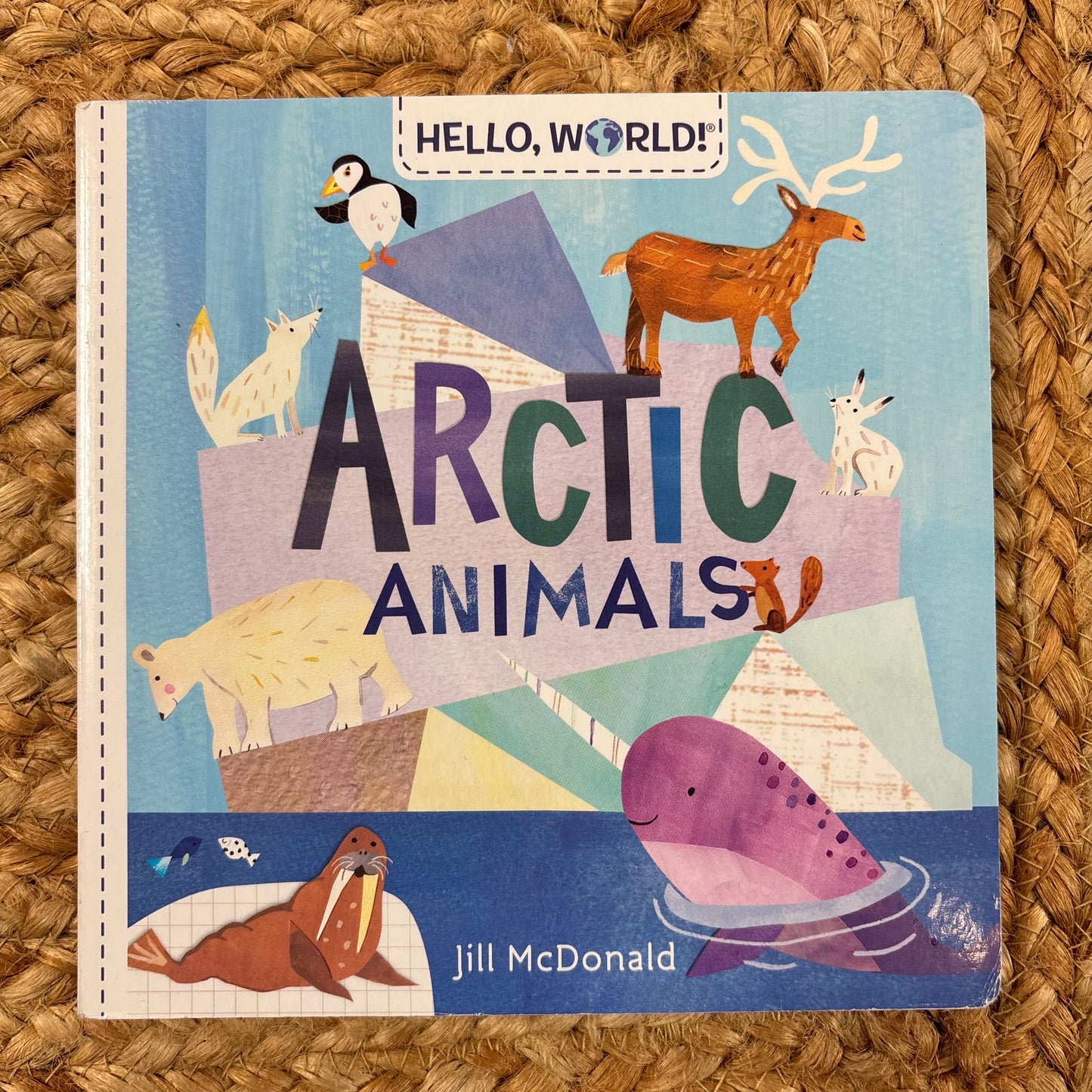 Arctic Animals