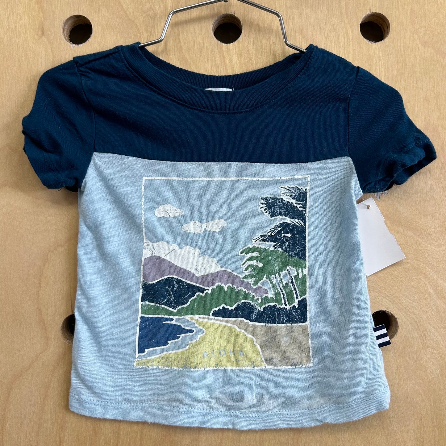 Blue Colorblock Beach Tee