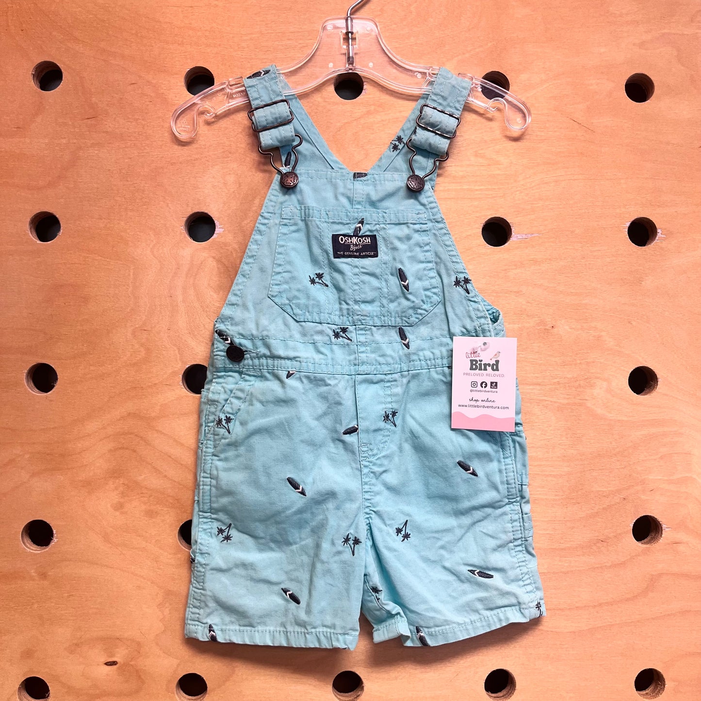 Aqua Embroider Palms/Surf Shortalls