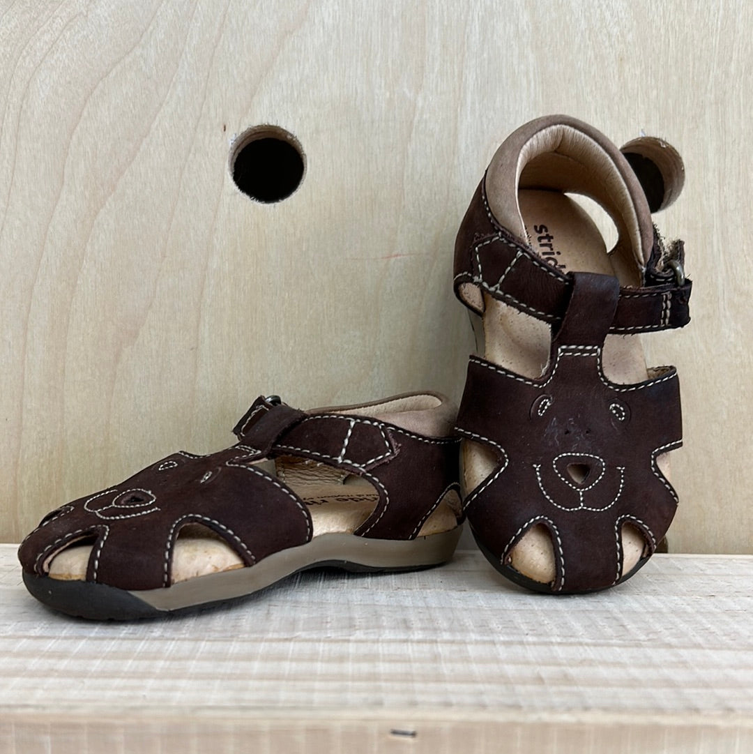 Brown Bear Sandals