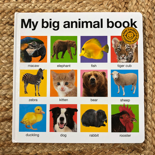 My Big Animal Book