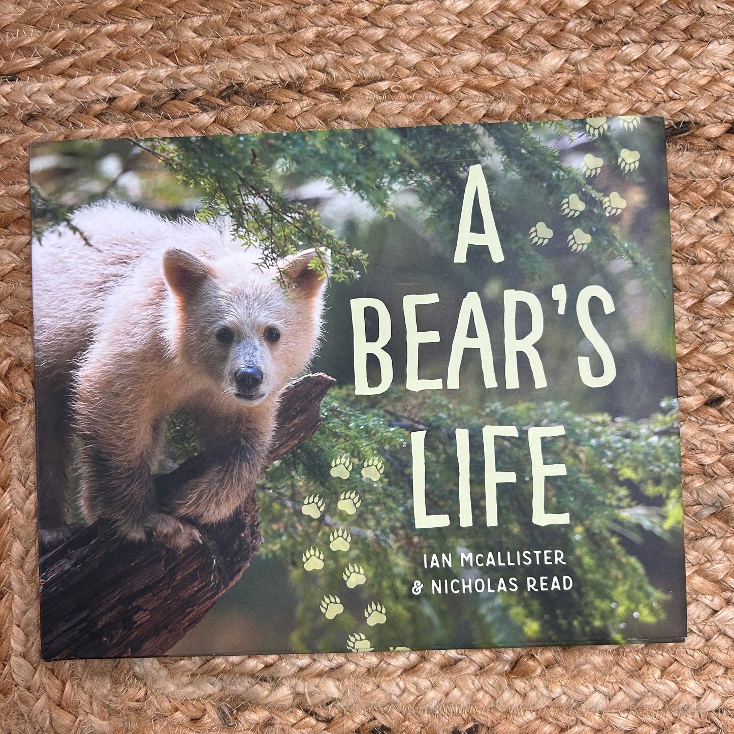 A Bear's Life