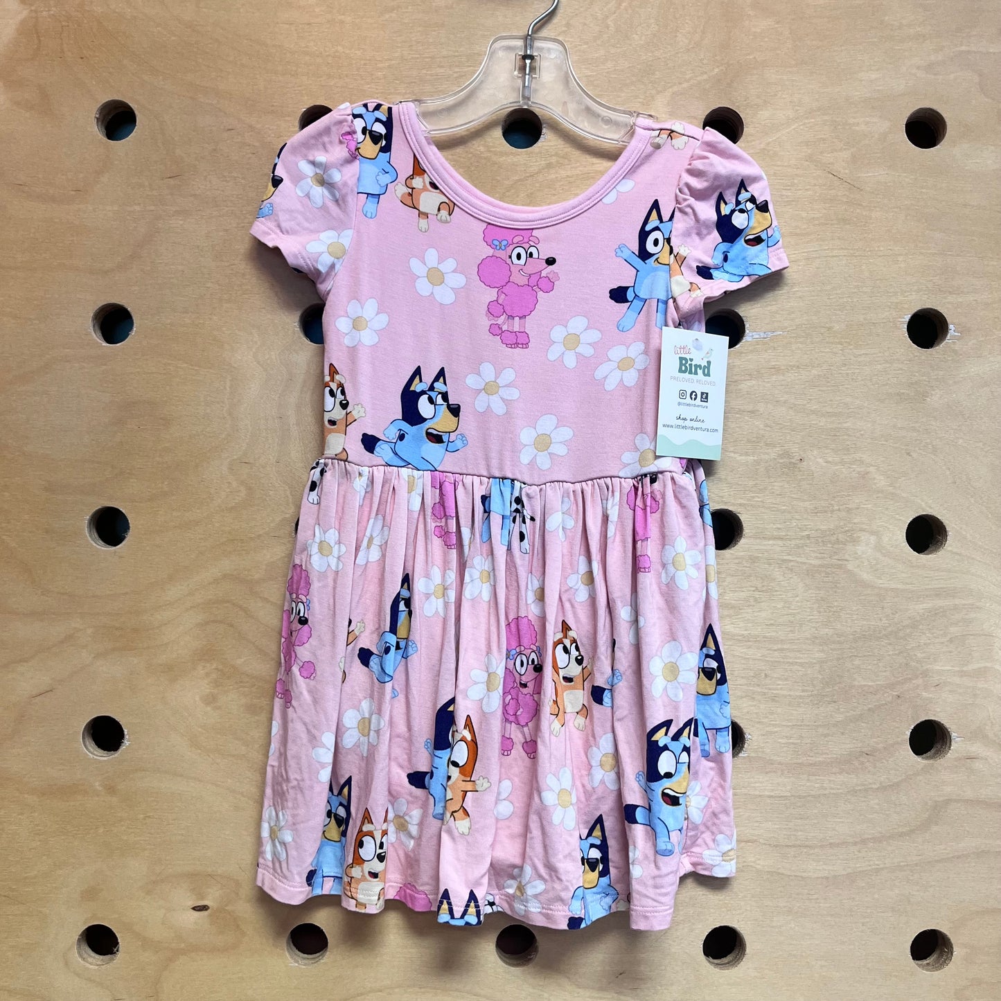 Pink Bamboo Bluey/Friends Dress
