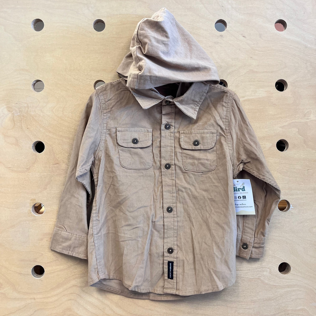 Brown Cord Hooded Button Up