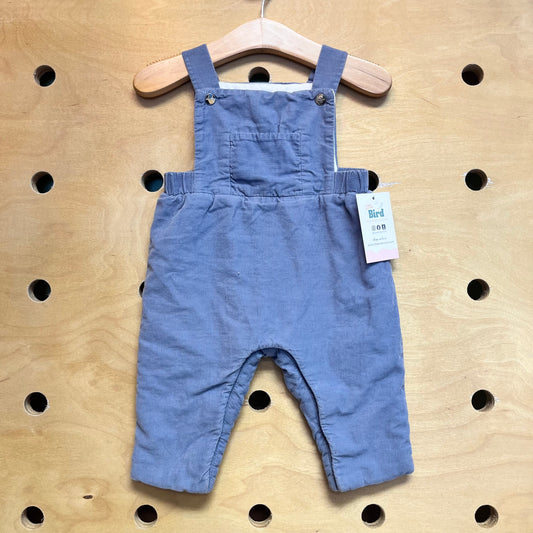 Blue Lined Cord Coveralls
