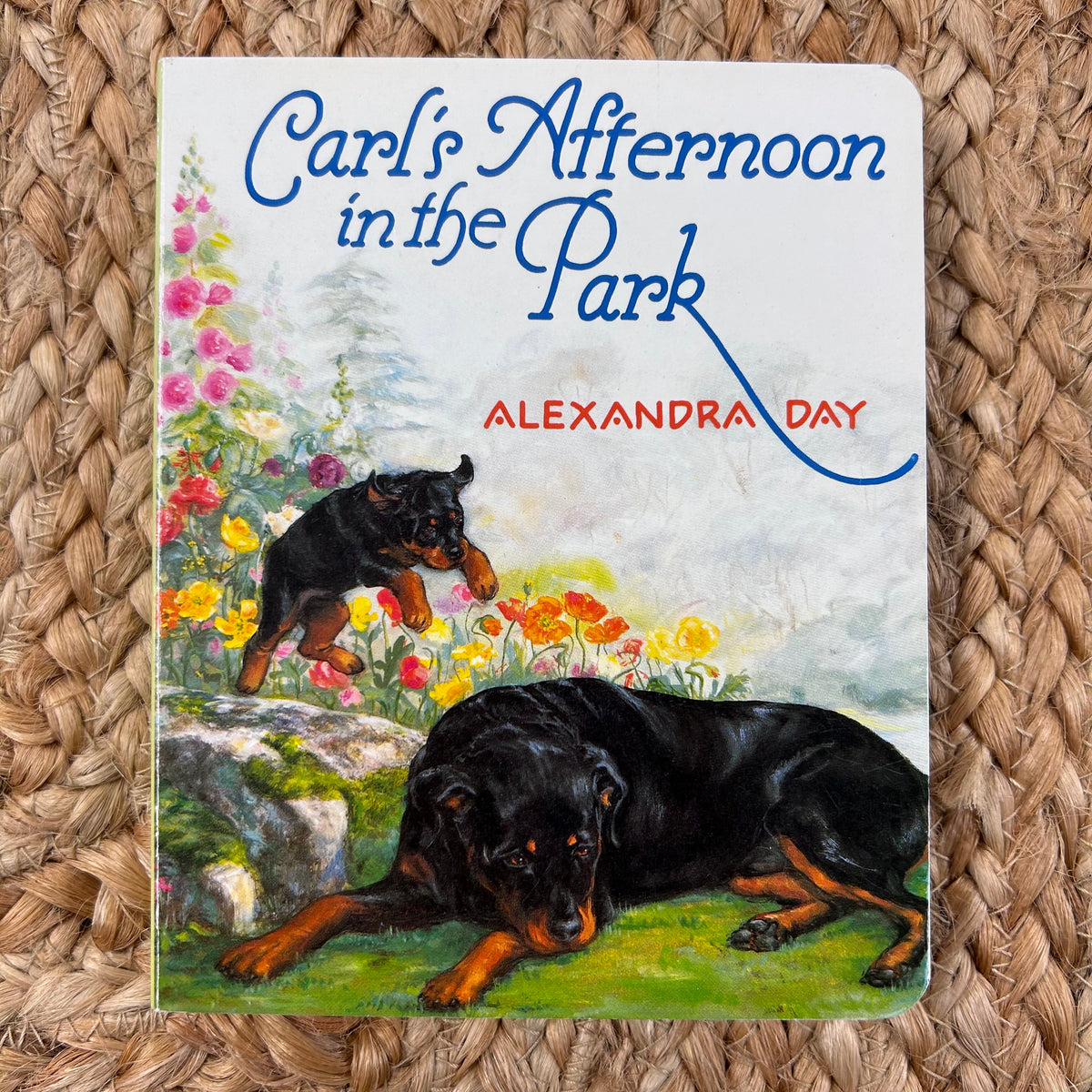 Carl's Afternoon in the Park