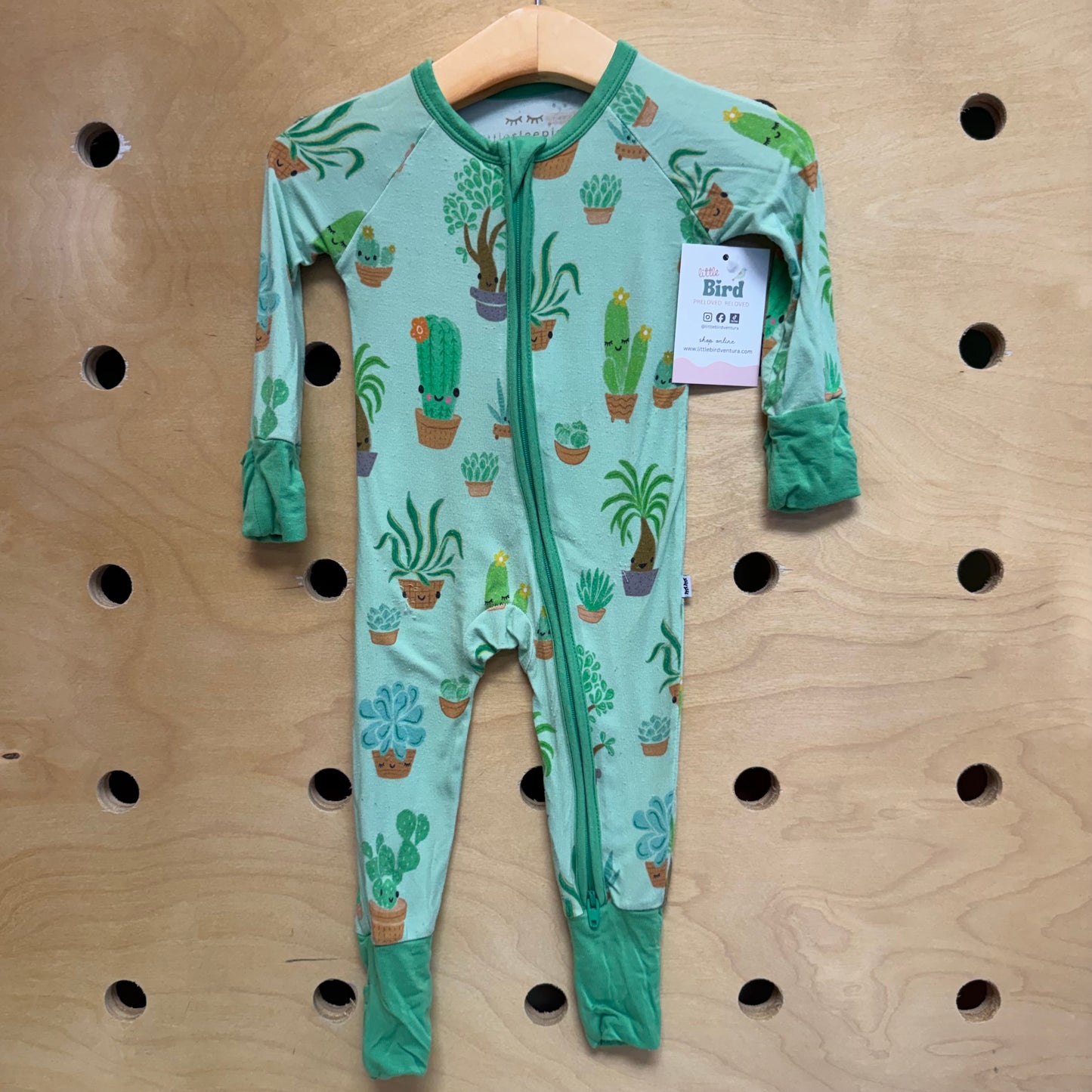 Green Bamboo Cactus Zippy
