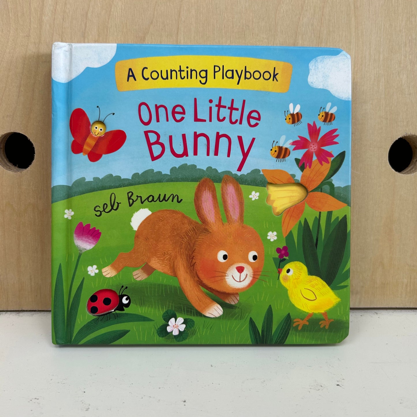 One Little Bunny