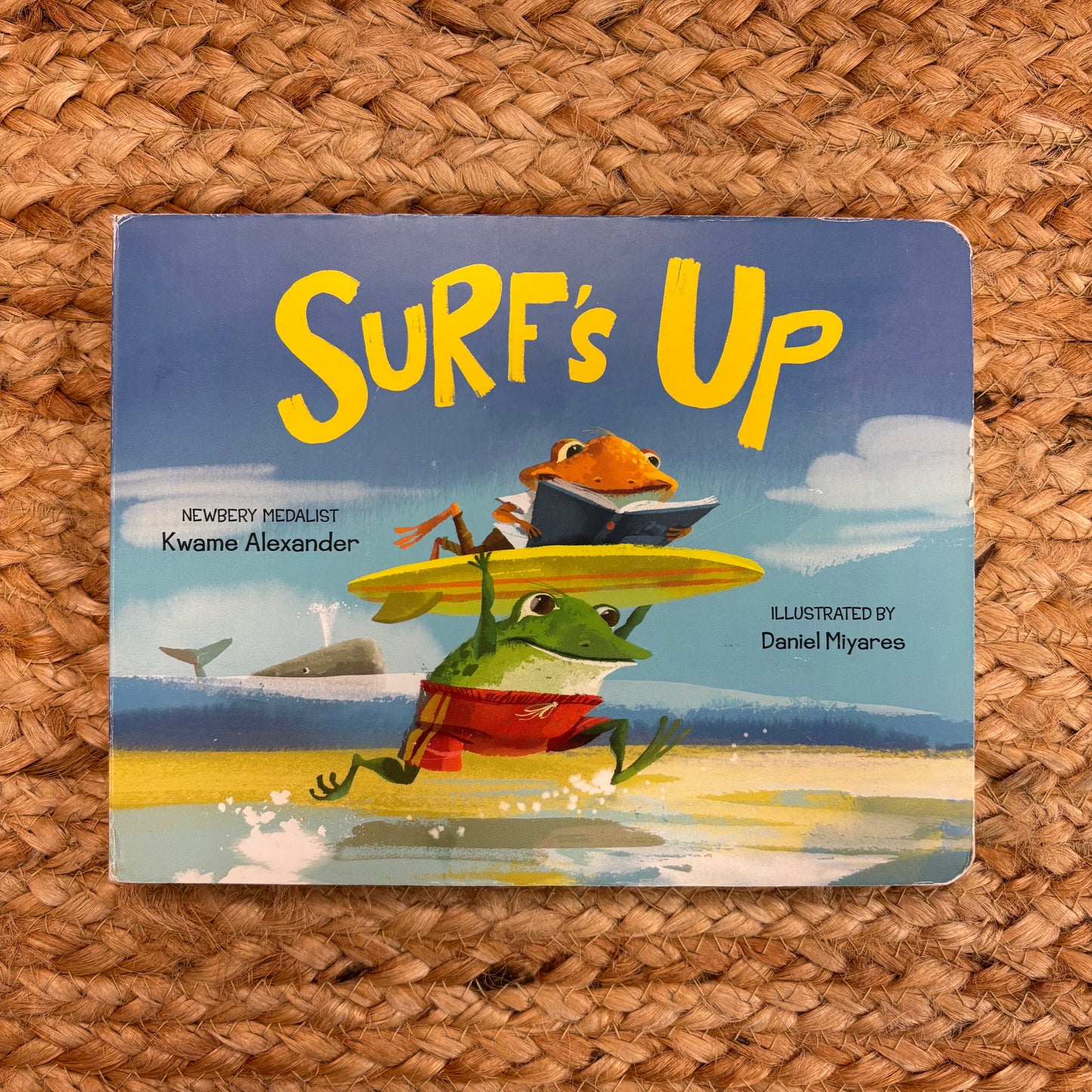 Surf's Up