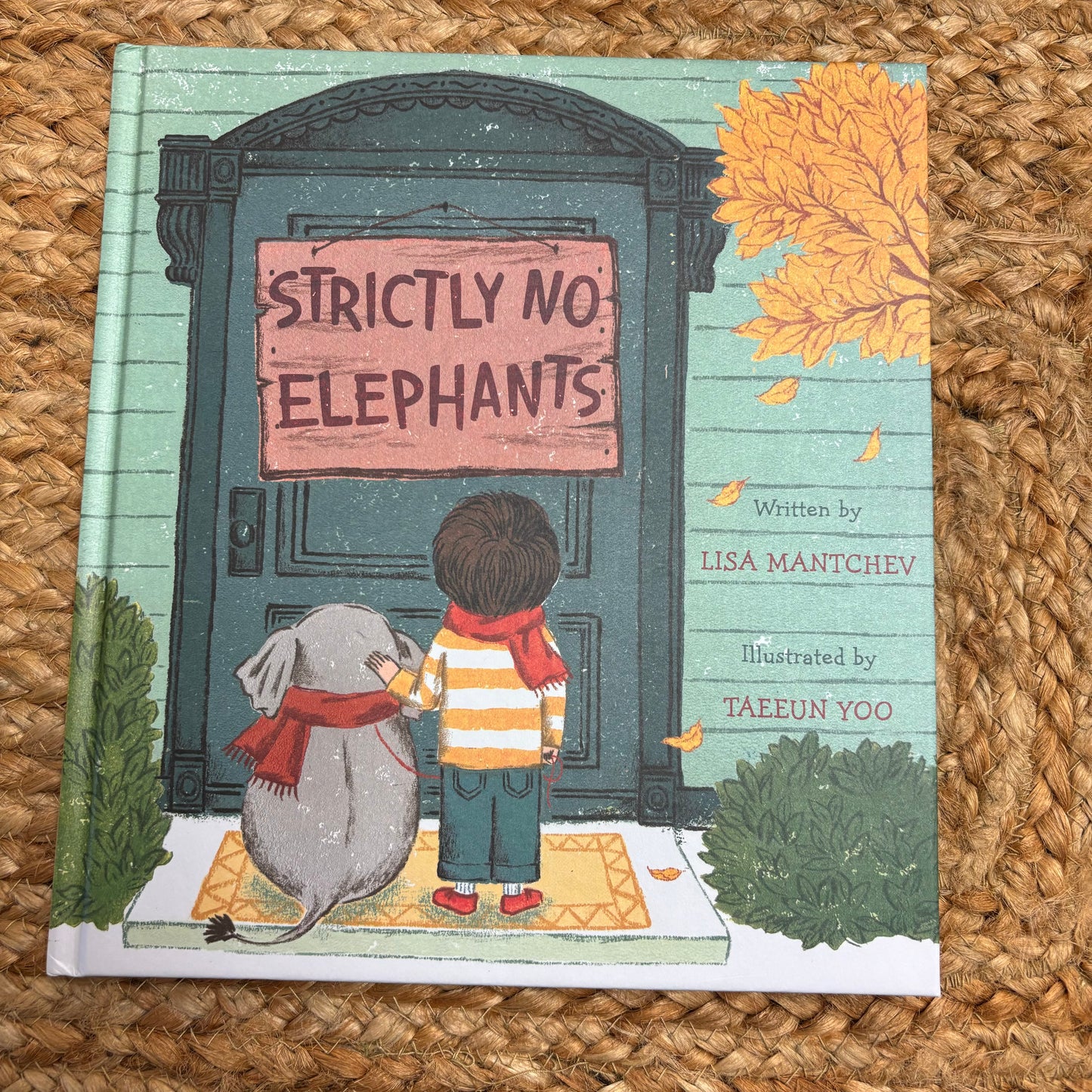 Strictly No Elephants