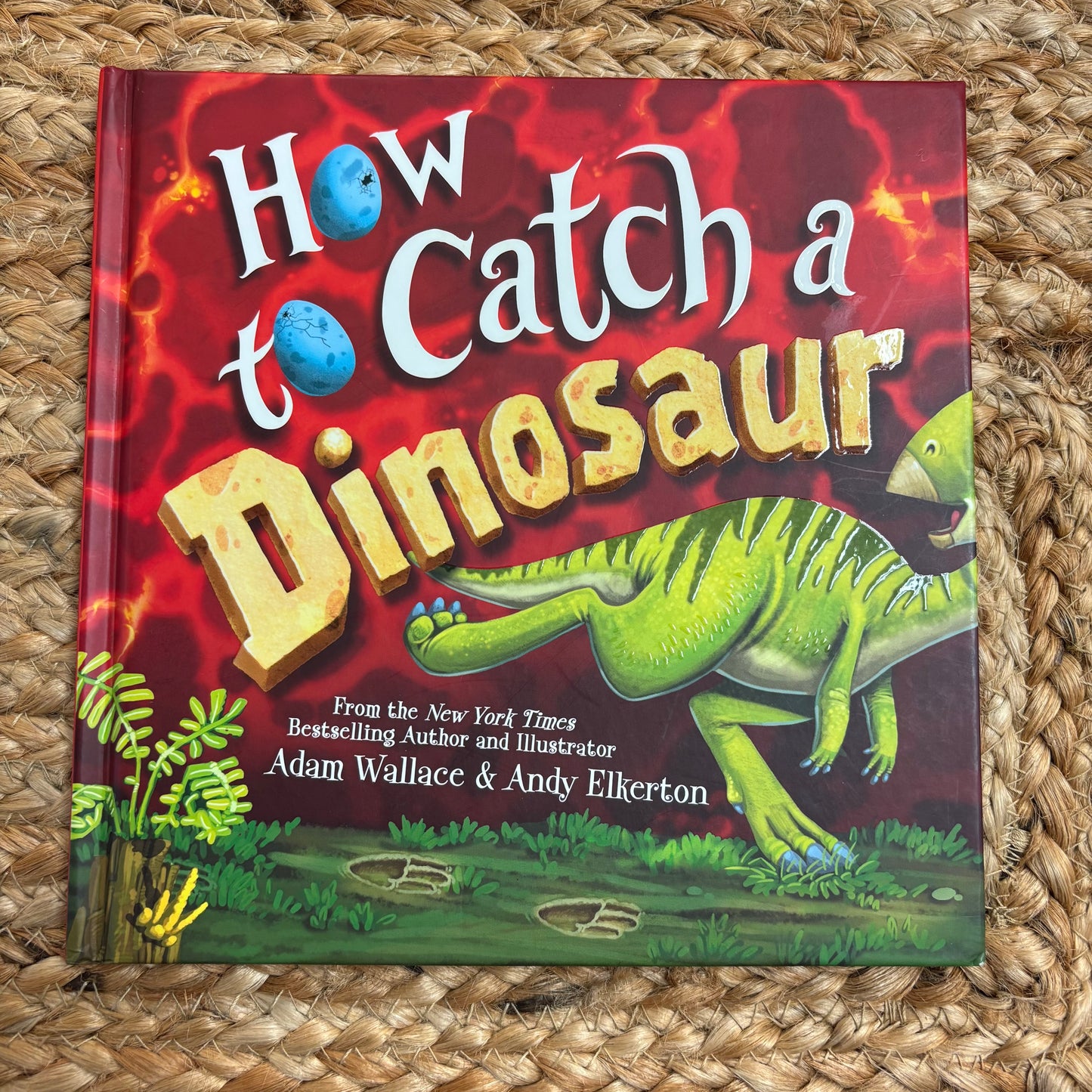 How to Catch a Dinosaur