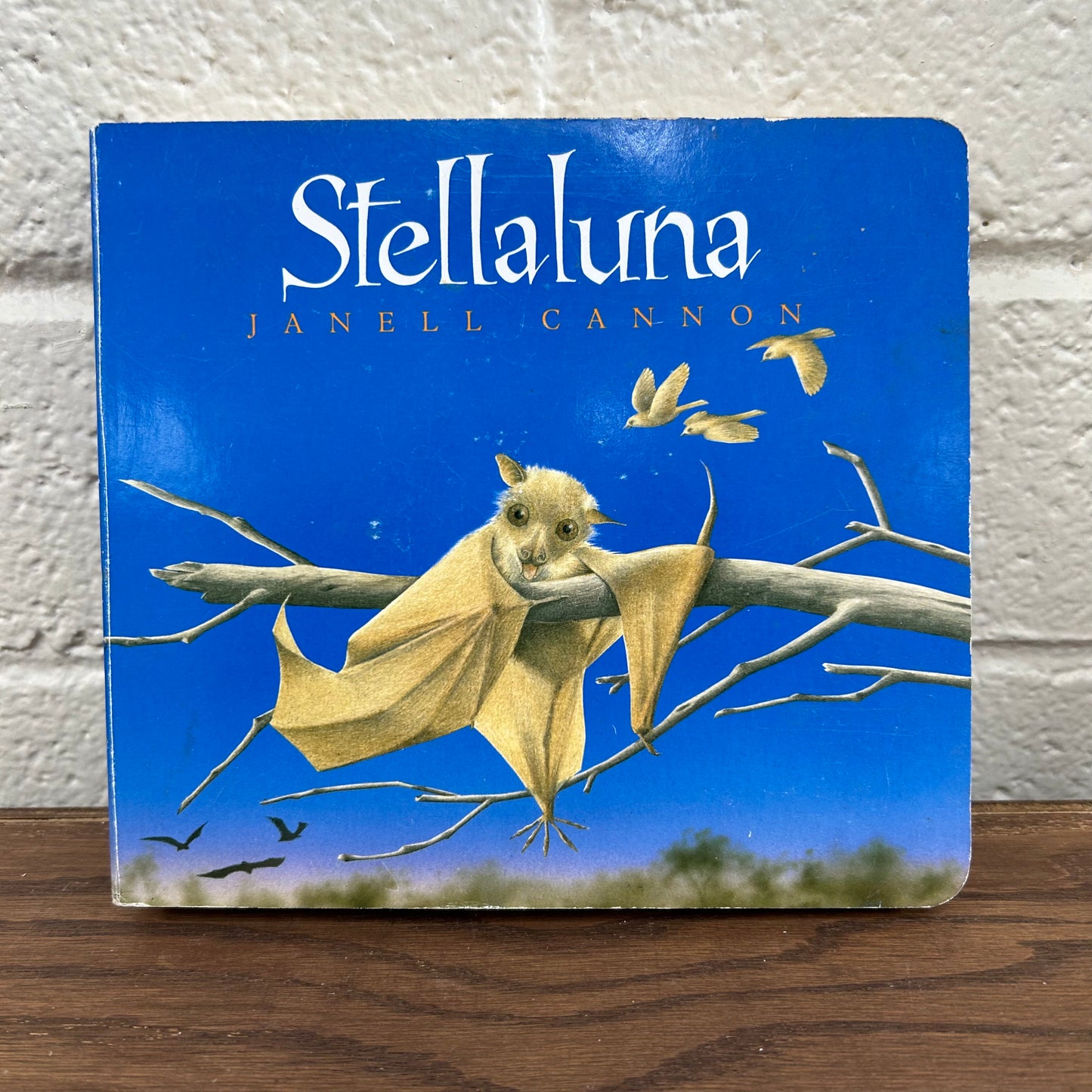 Stellaluna