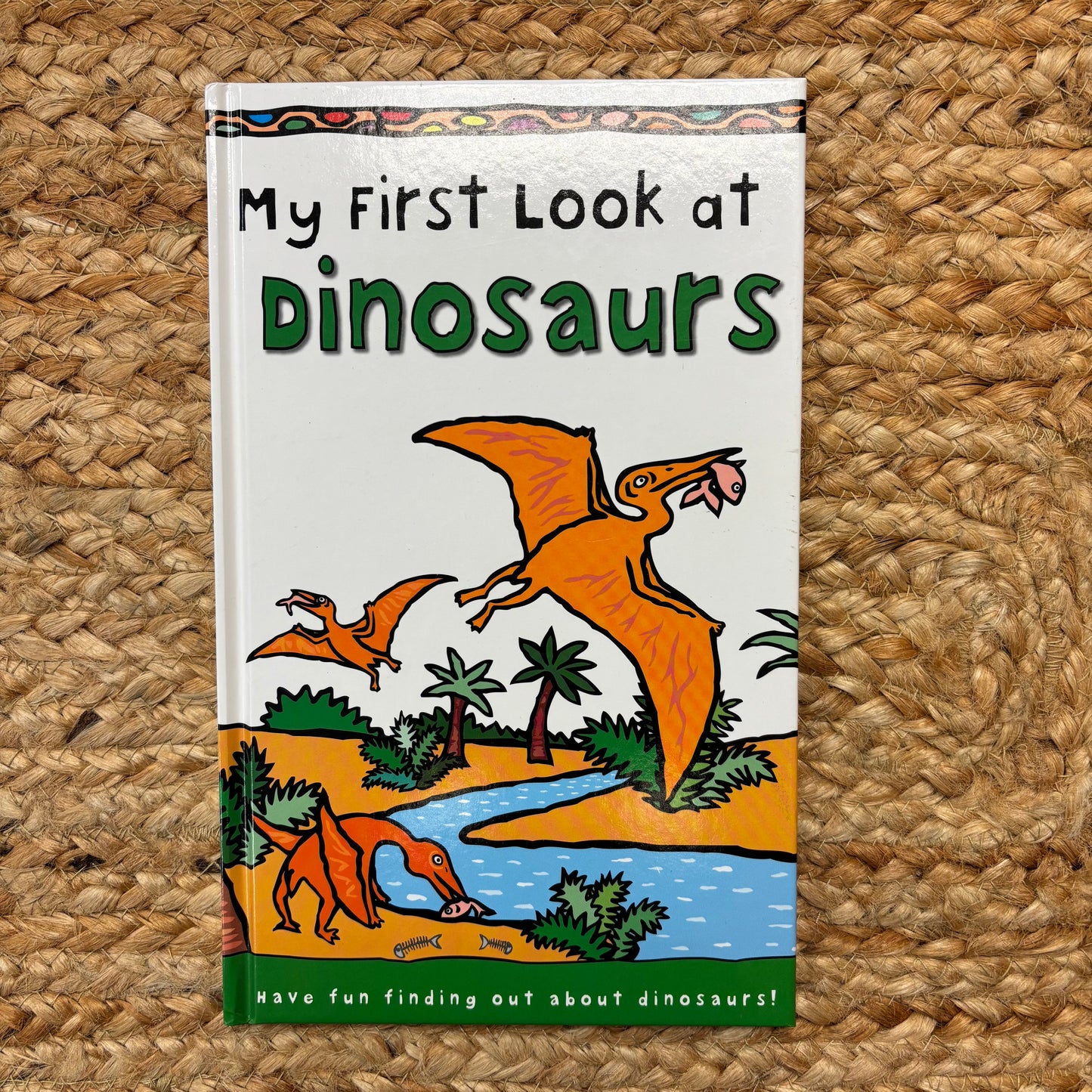 My First Look at Dinosaurs