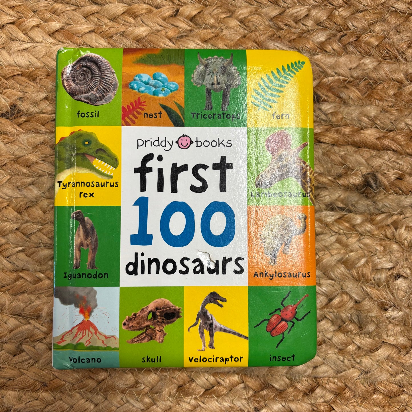 First 100 Dinosaurs