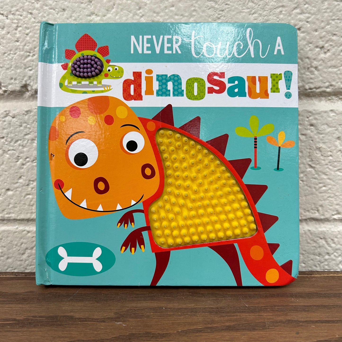 Never Touch a Dinosaur!