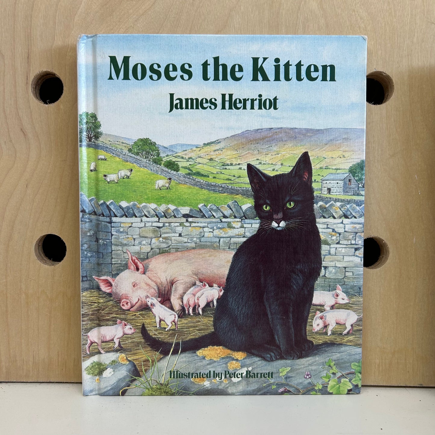 Moses the Kitten