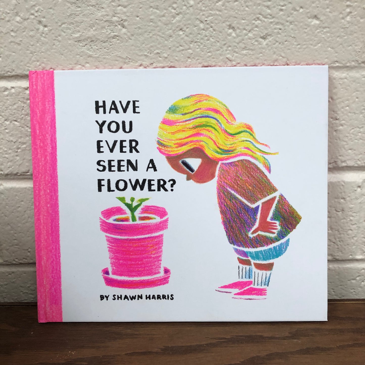 Have You Ever Seen a Flower?