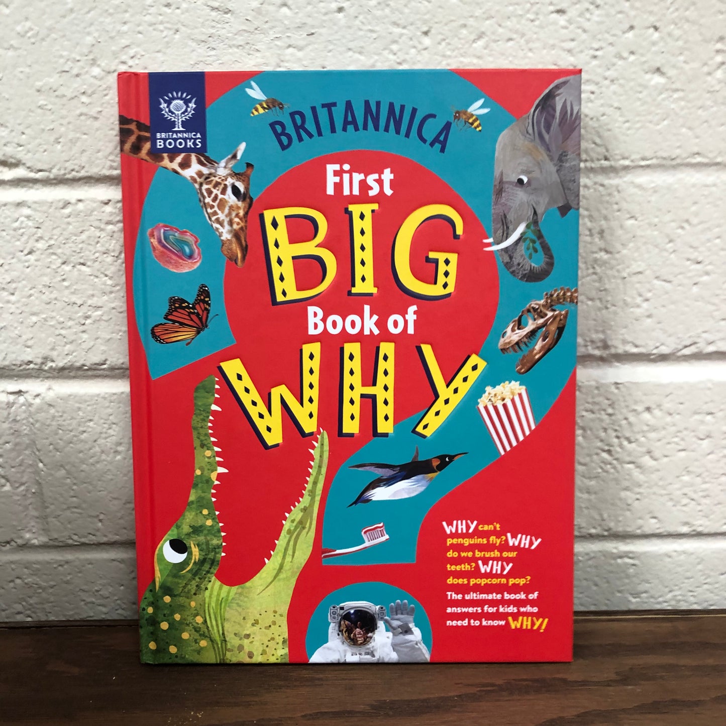 First Book of Why