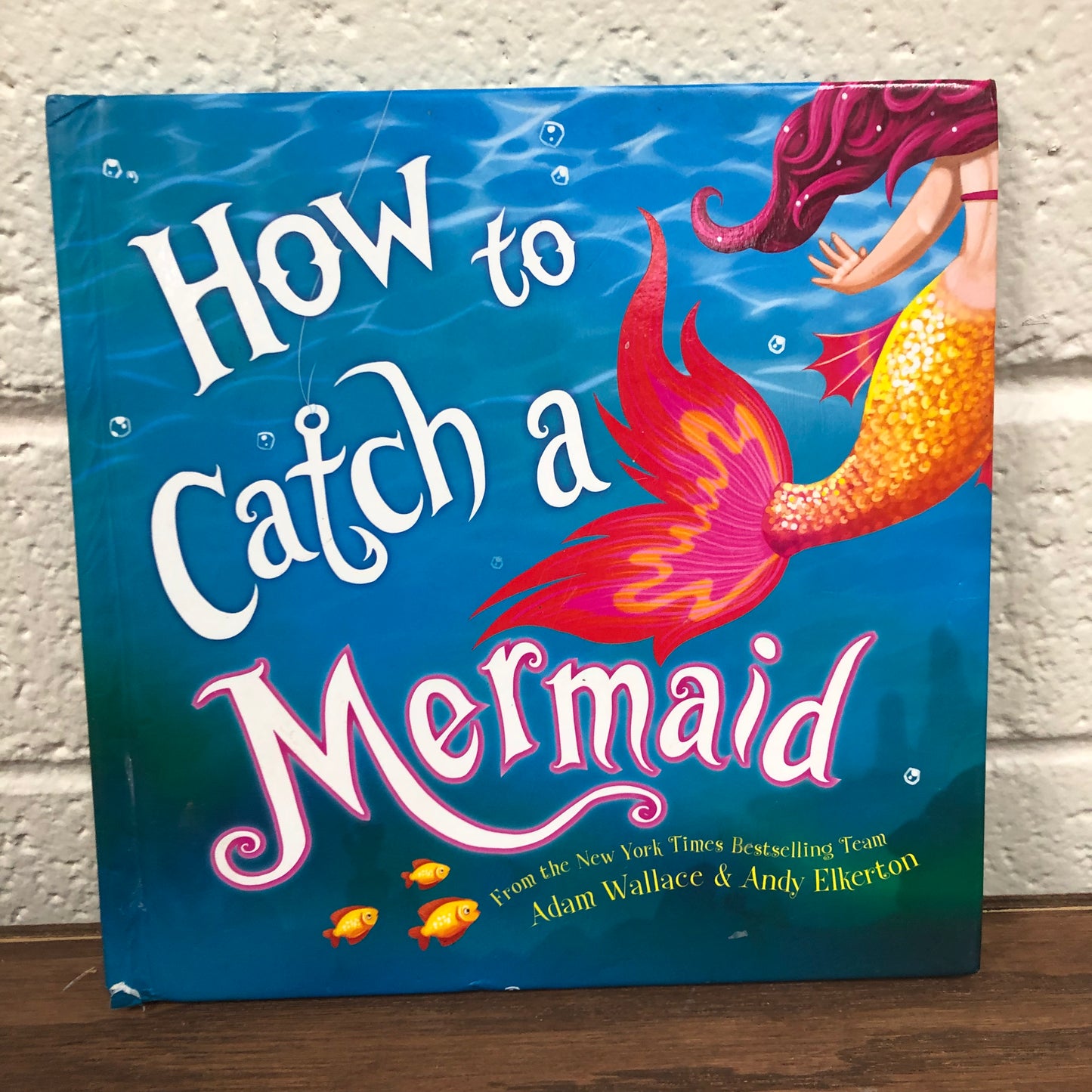 How to Catch a Mermaid