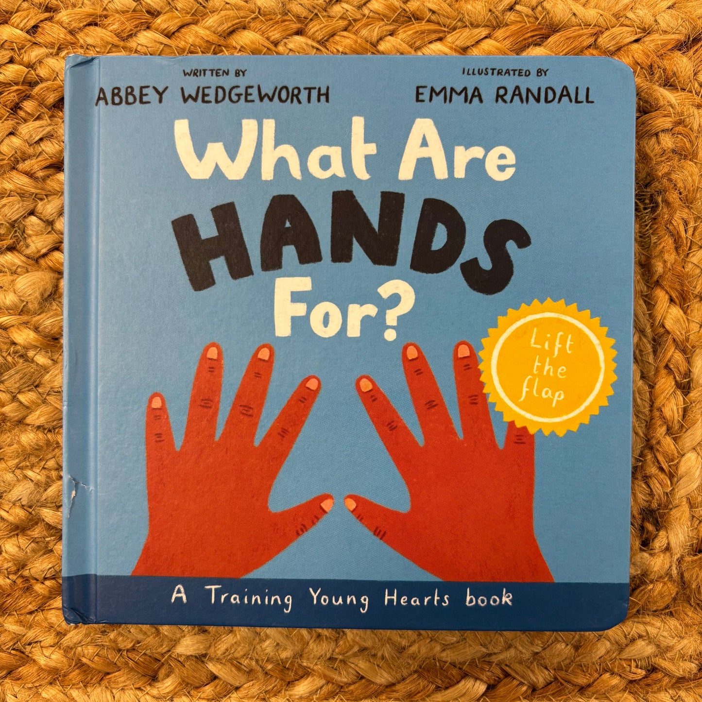 What Are Hands For?