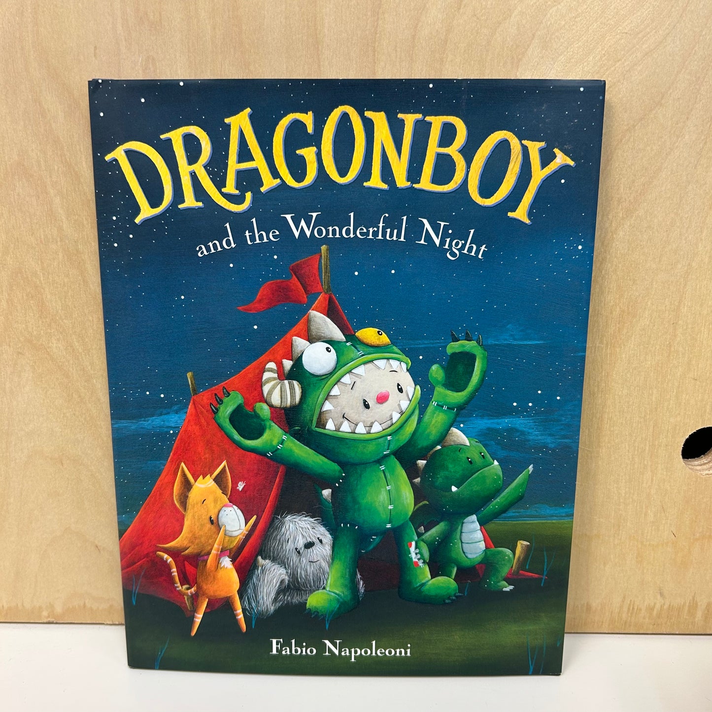 Dragonboy and the Wonderful Night