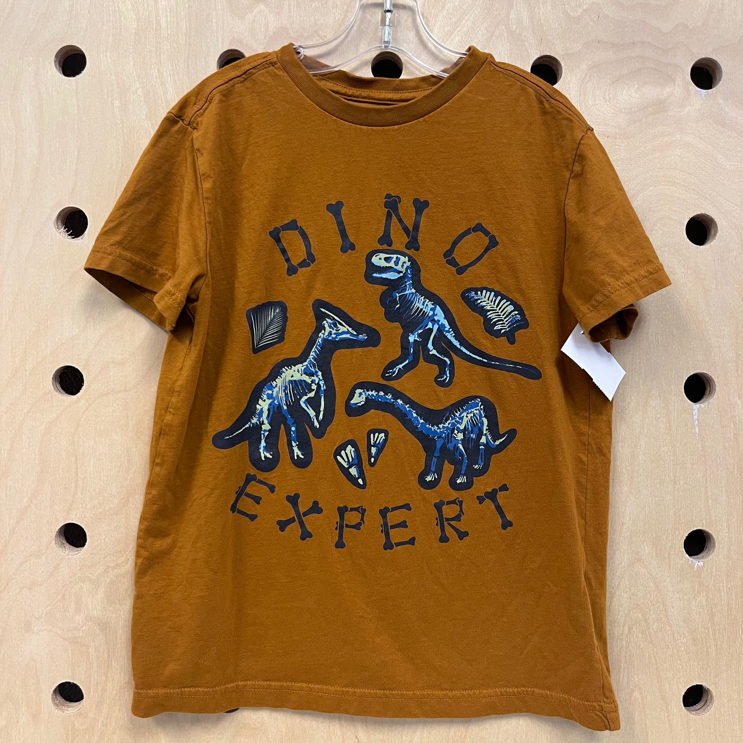 Brown Dino Expert Tee