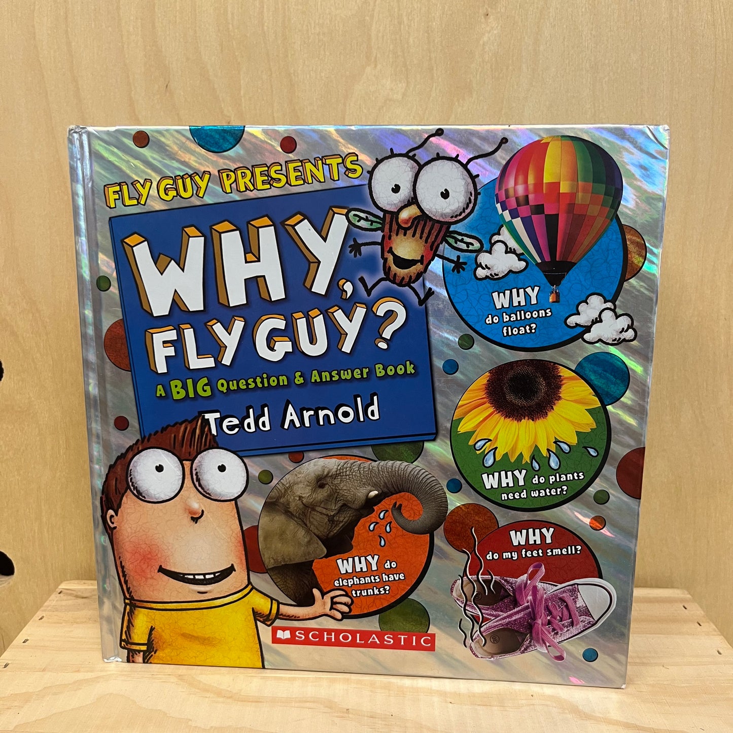 Fly Guy Presents Why, Fly Guy?