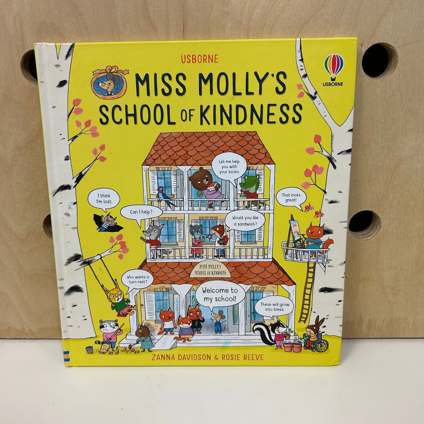 Usborne Miss Mollys School of Kindness
