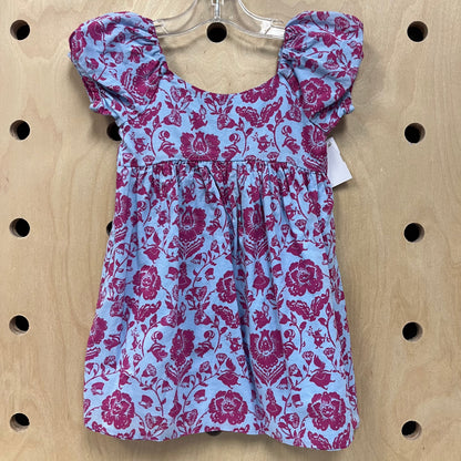 Blue & Pink Alice in Wonderland Dress