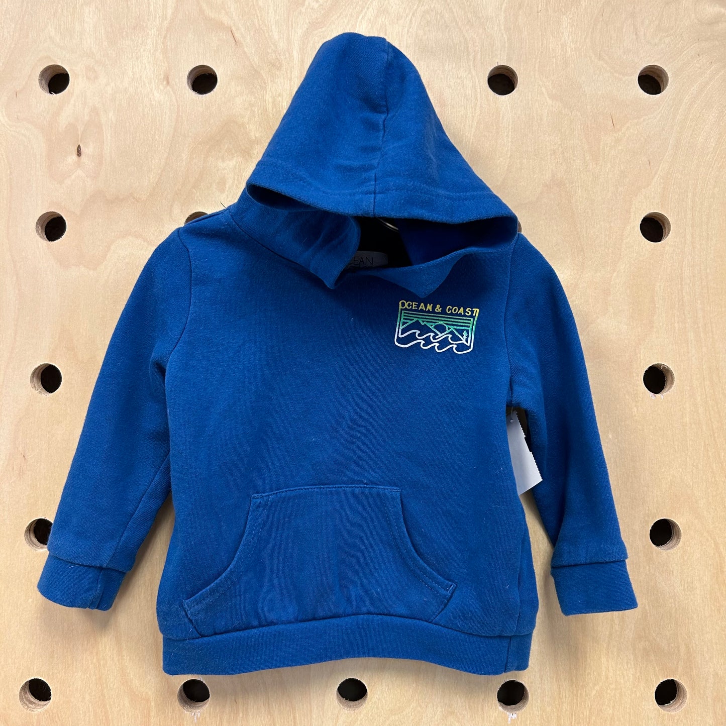 Blue Logo Hoodie