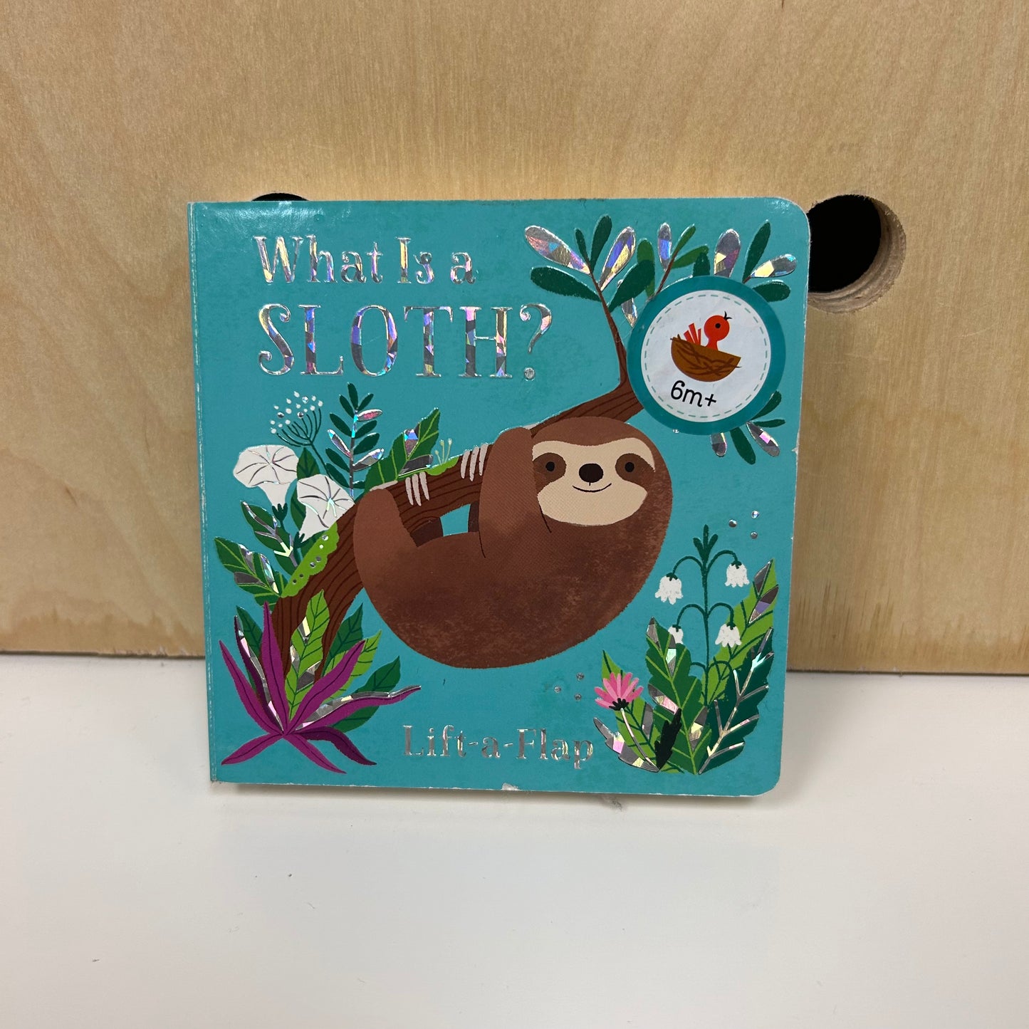 What is a Sloth?