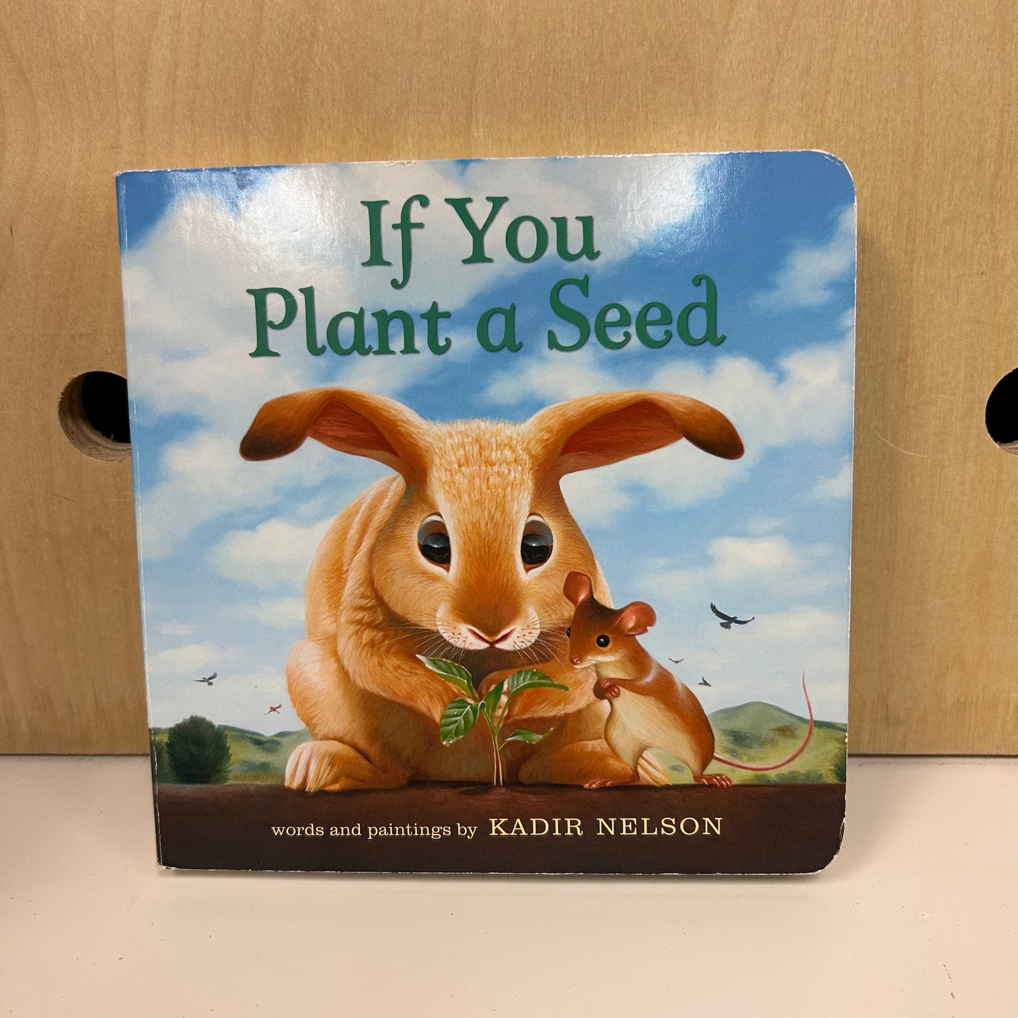 If You Plant a Seed