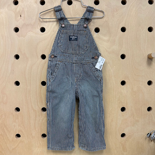 Denim Striped Overalls