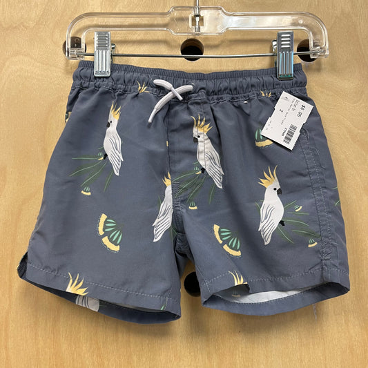 Grey Parrot Swim Trunks