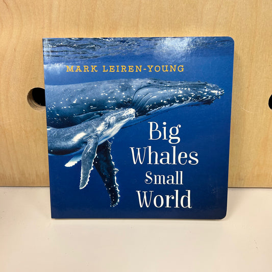 Big Whales Small World