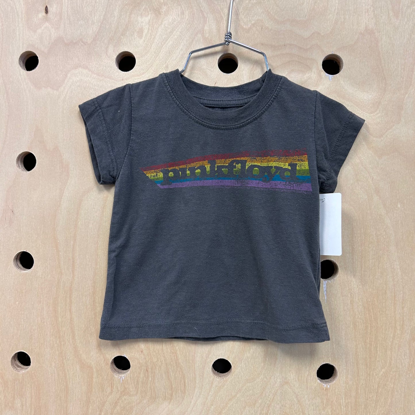 Grey Pink Floyd Band Tee