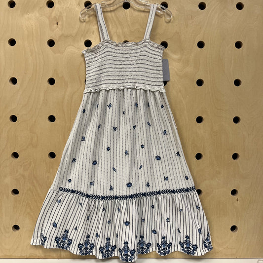 Cream & Blue Embroidered Floral Dress