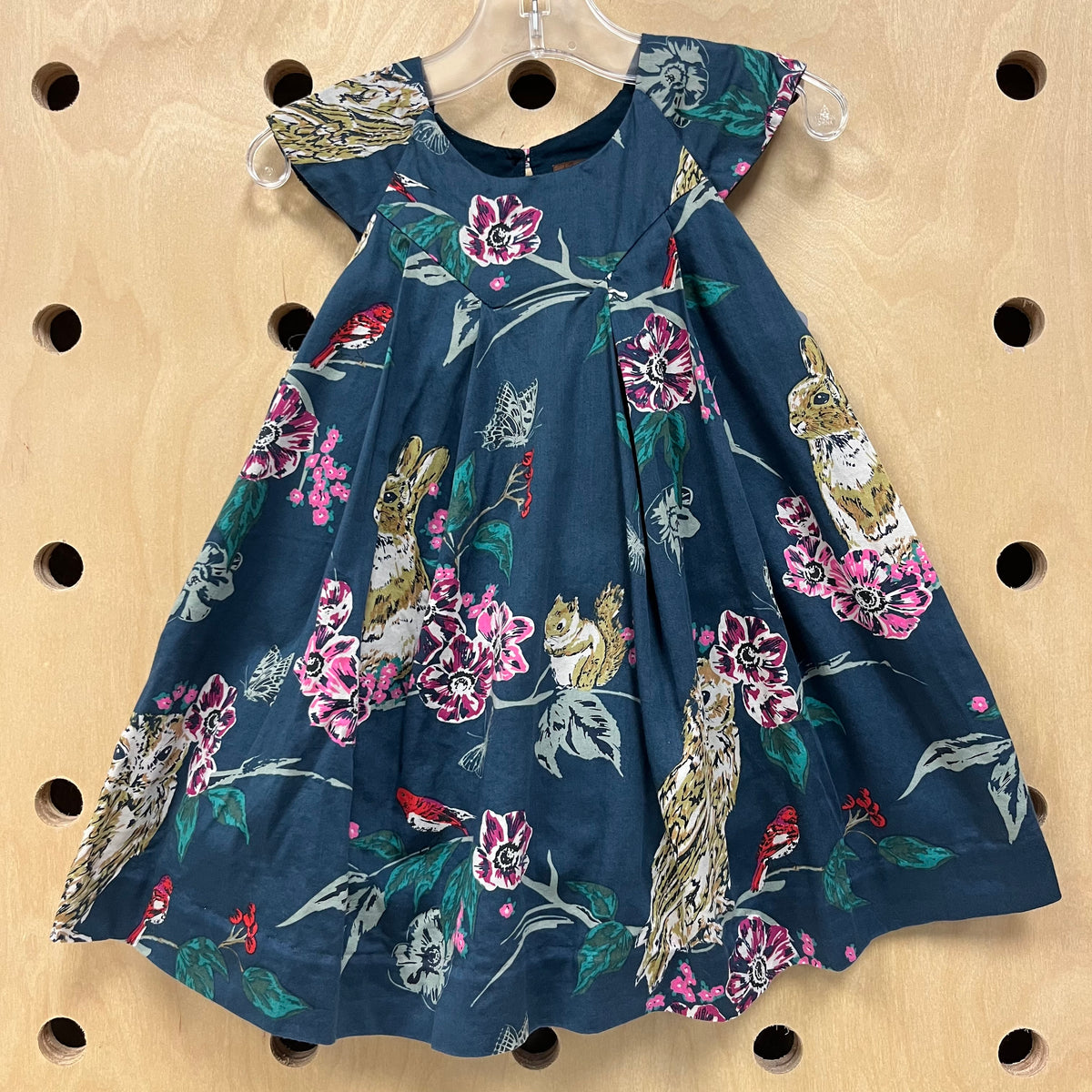 Blue Owl & Squirrel Dress
