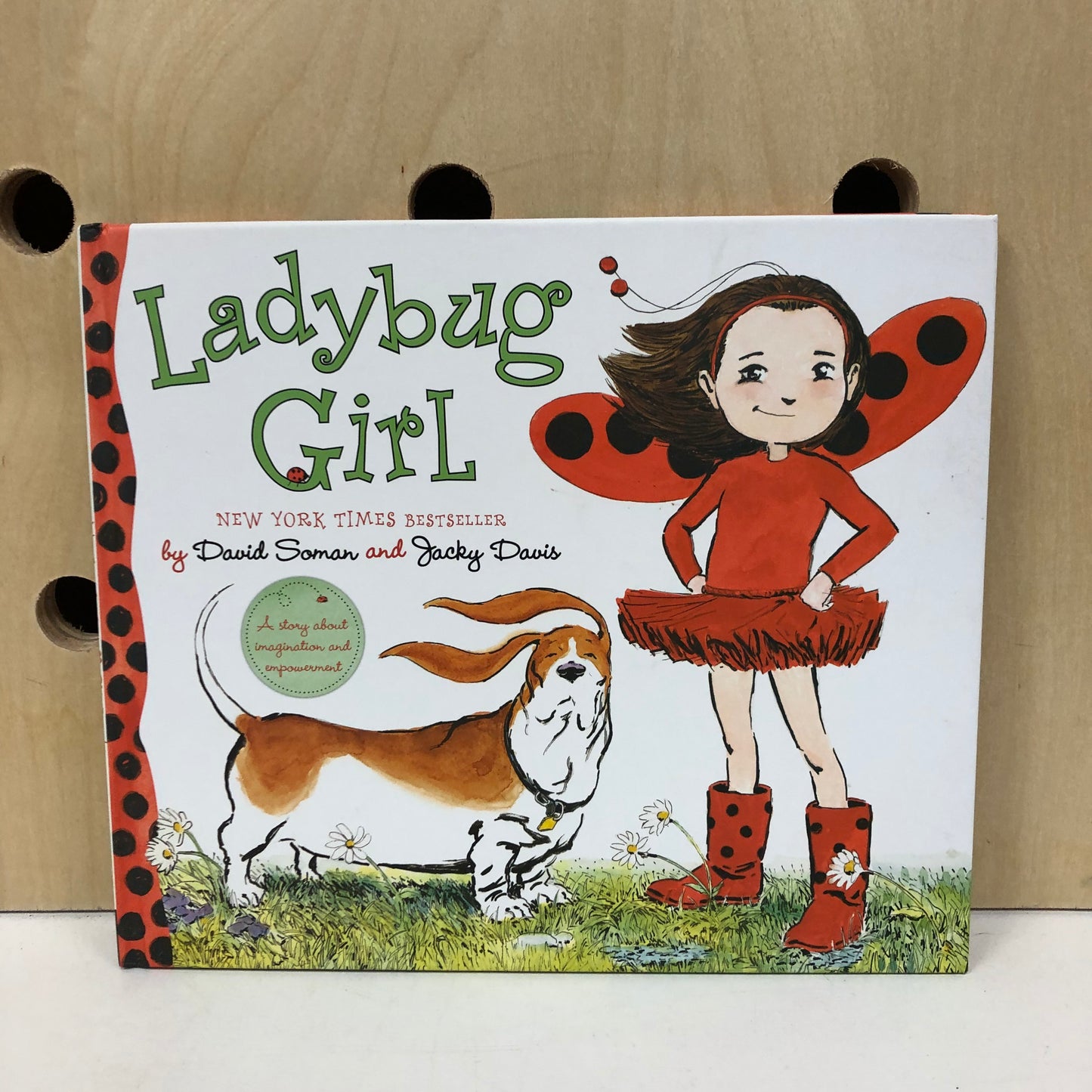 Ladybug Girl
