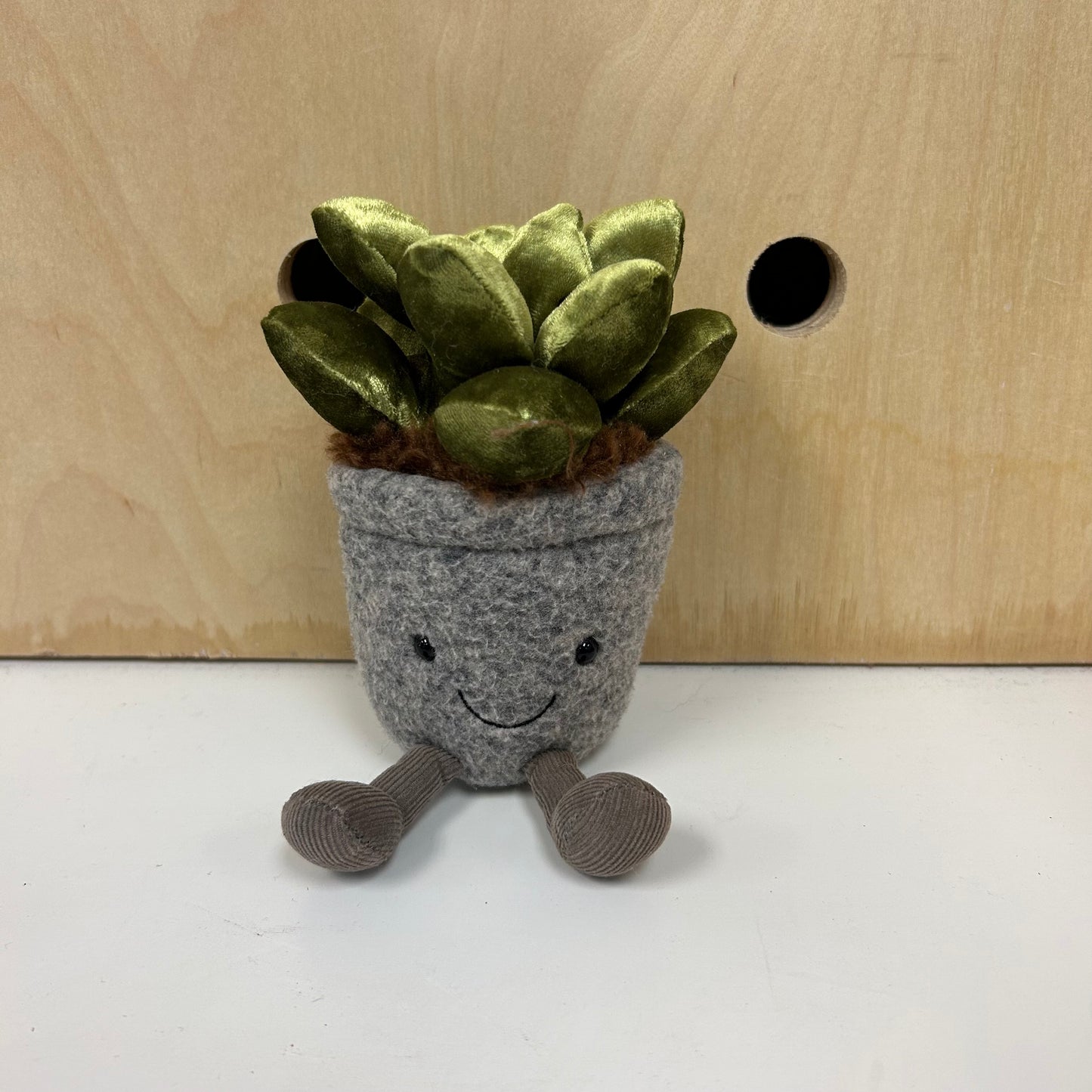 Silly Succulent