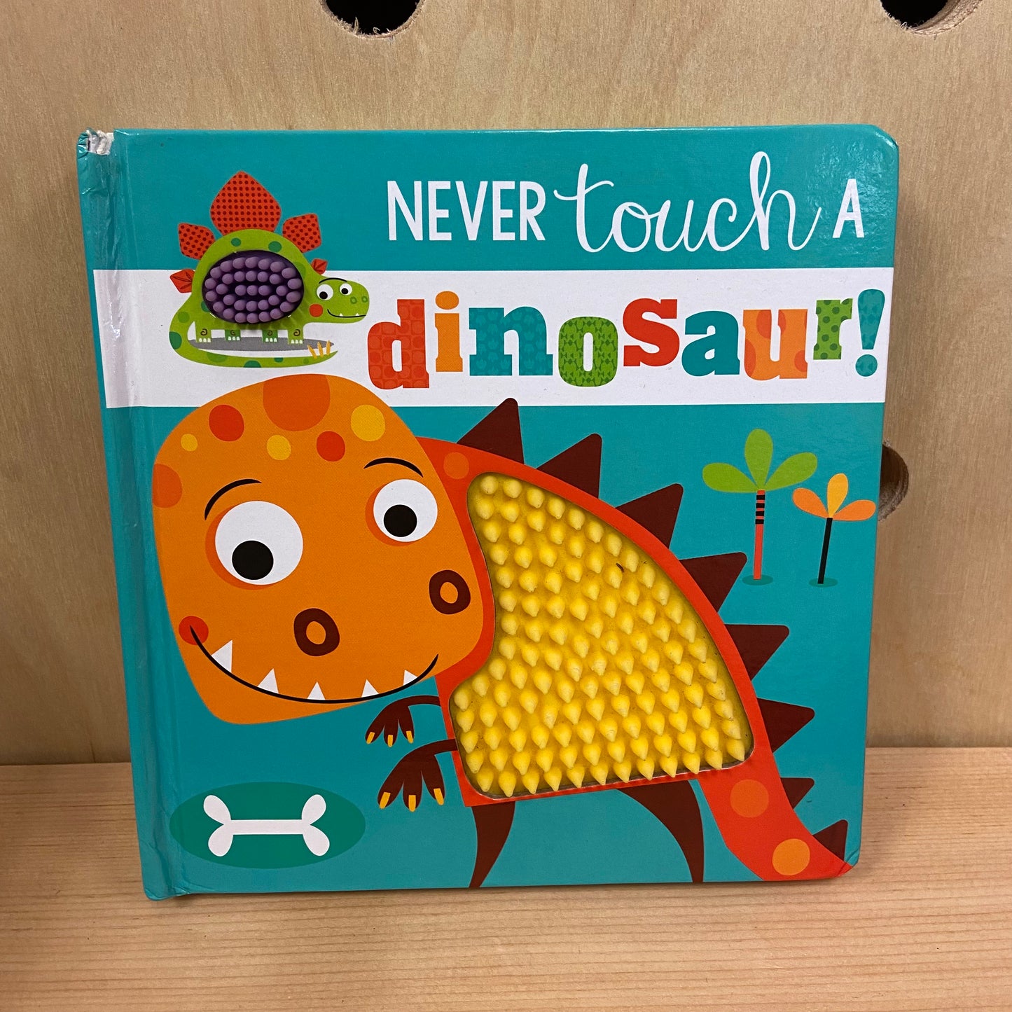 Never Touch a Dinosaur!