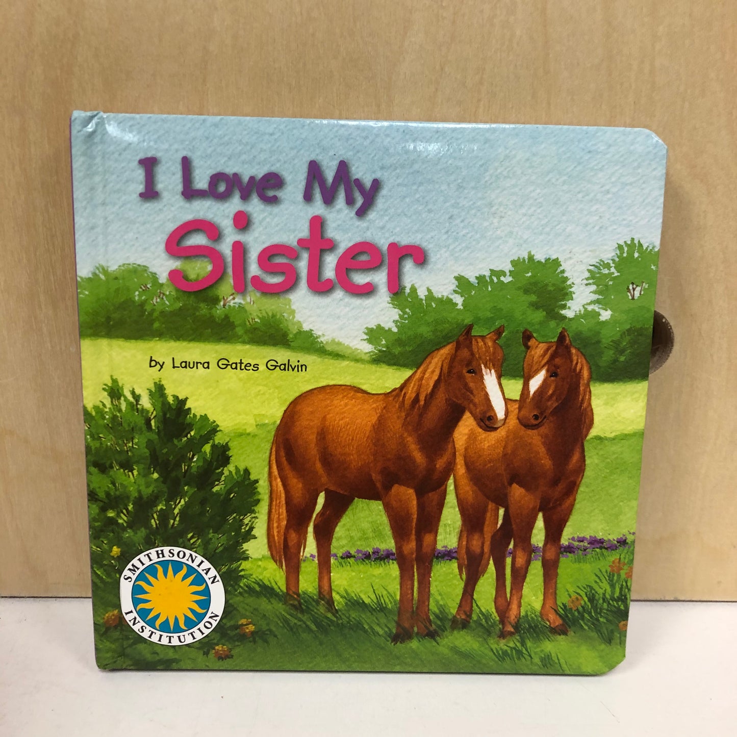 I Love My Sister
