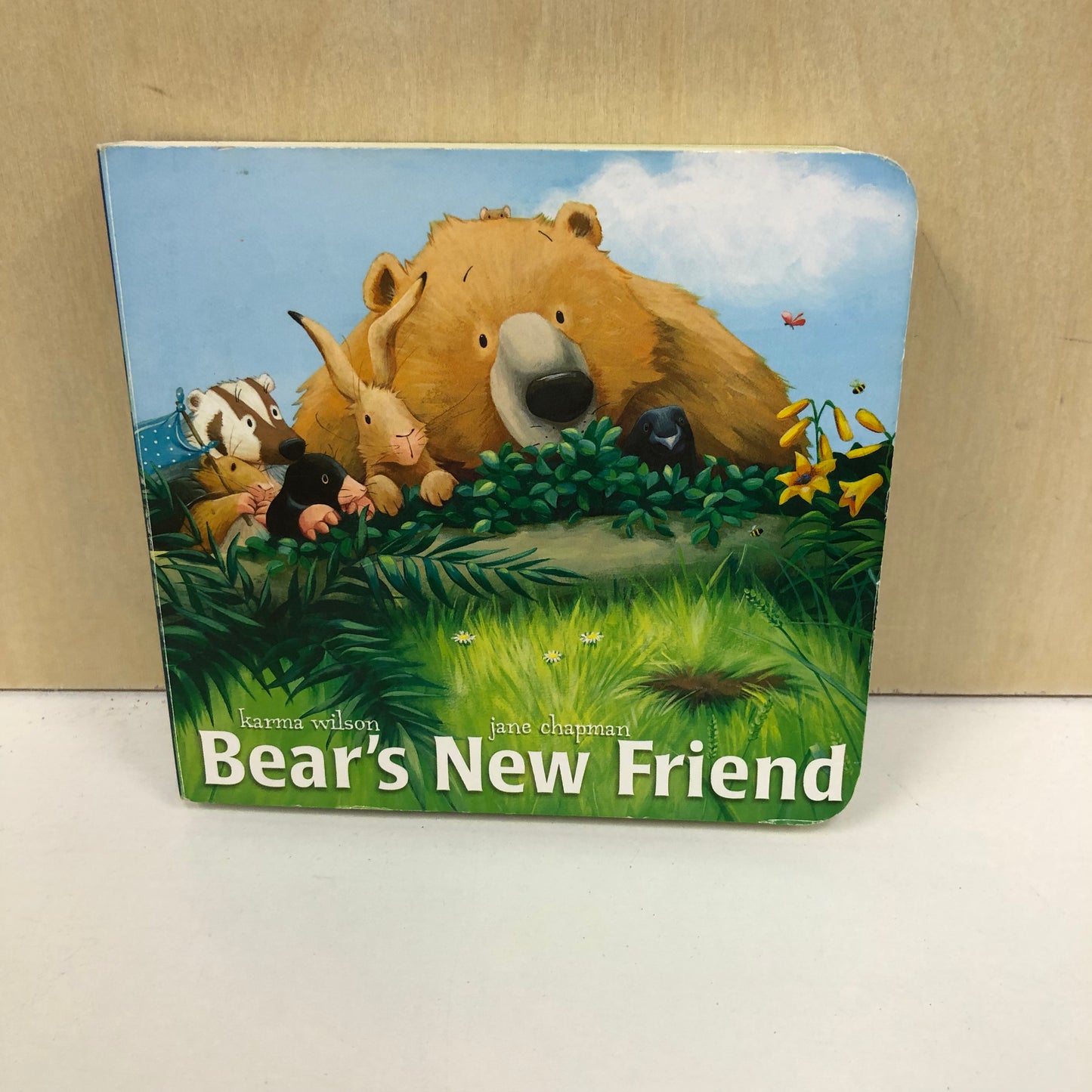 Bears New Friend