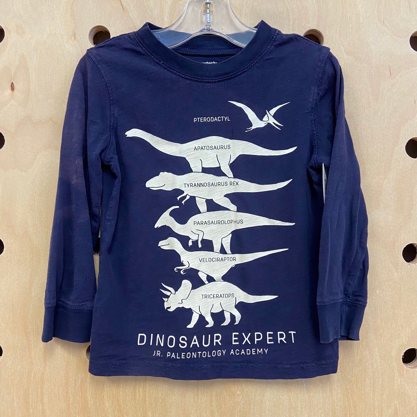 Dinosaur Expert LS Tee