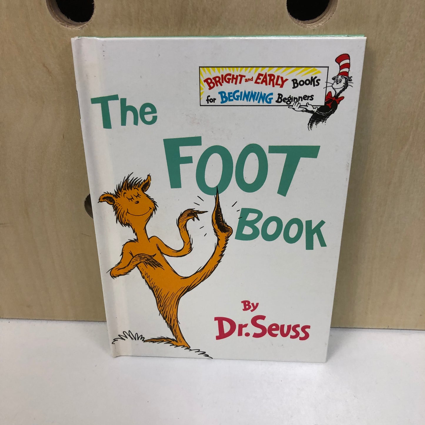 The Foot Book