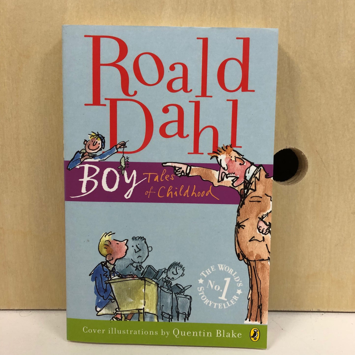 Boy Tales of Childhood