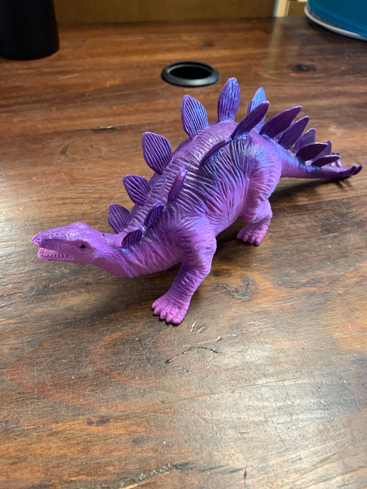 Stegasaurus Dinosaur